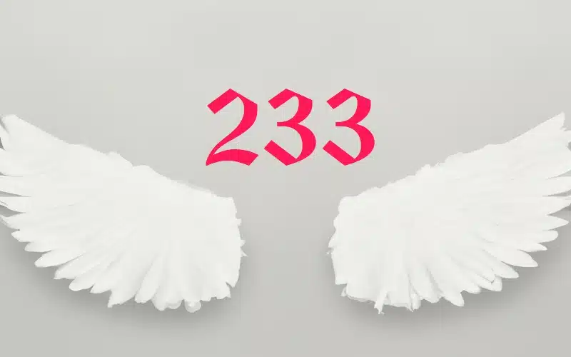 233 Angel Number Meaning, Career, Love, and Twin Flame