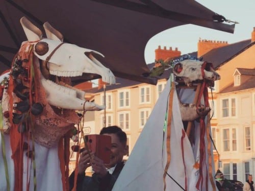 Two Mari Lwyd - Welsh folk tradition associated with Christmas and New Year. Horses skull decorated with ribbons.