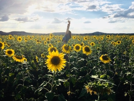 A girl standing in between sunflowers