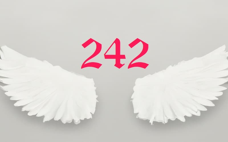 Angel number 242
