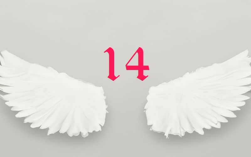Angel Number 14 encourages us to ground our dreams in reality, to build our castles not in the air, but on the firm foundation of pragmatism.