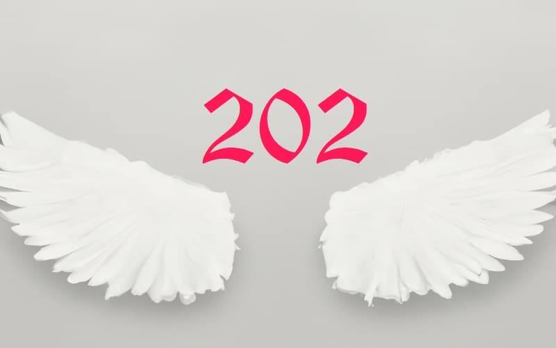 Angel Number 202 is a gentle reminder to be like the willow tree, bending with the wind but never breaking. Be principled, but strive for harmony.