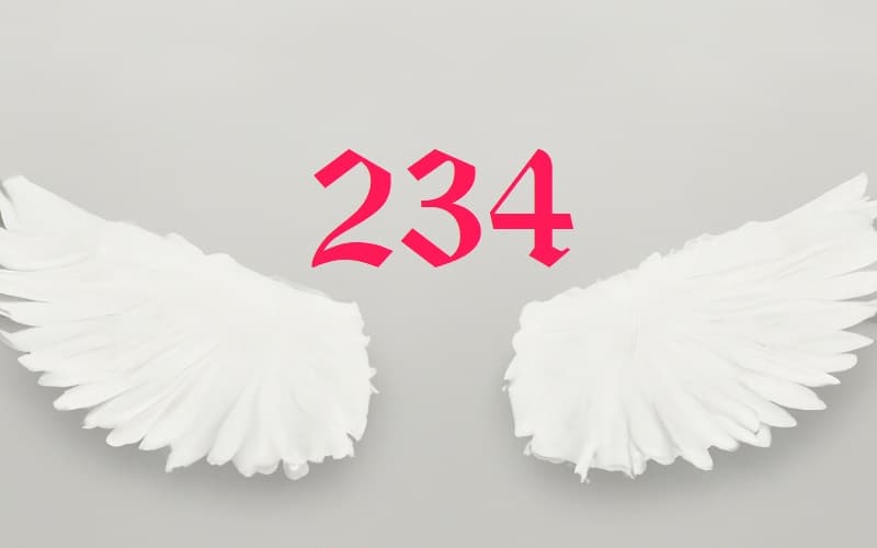 Angel Number 234 is a beacon of spiritual enlightenment. It's a call to embark on a spiritual journey, to delve into the depths of your soul.