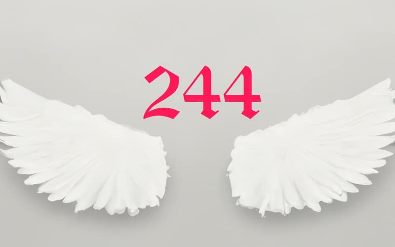 The essence of Angel Number 244 is harmony and balance. It is a divine reminder that our lives are a delicate dance of various elements.