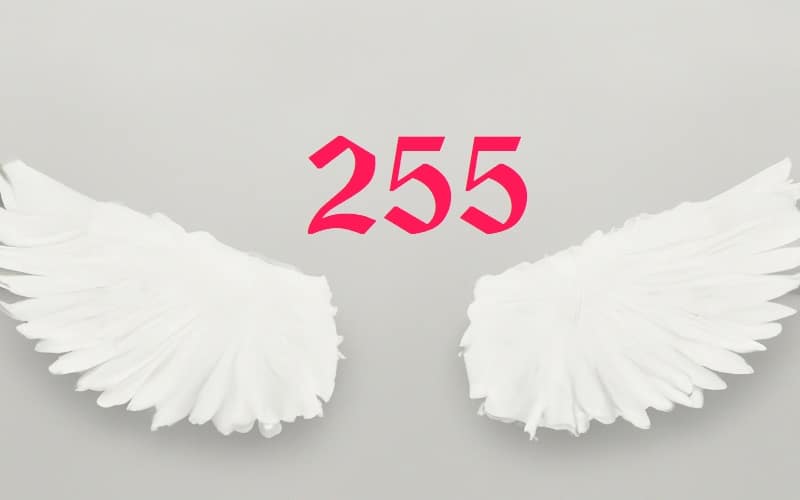 Uncover the deep significance of Angel Number 255 and its guidance for personal transformation. Embrace spiritual growth and divine wisdom in your journey.