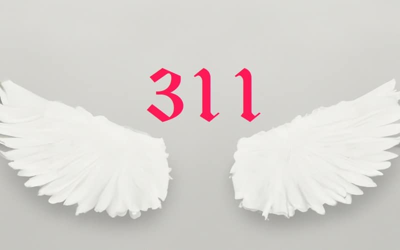 Angel Number 311 is a divine affirmation that our thoughts, beliefs, and emotions have the power to shape our world. Believe in your creative force!