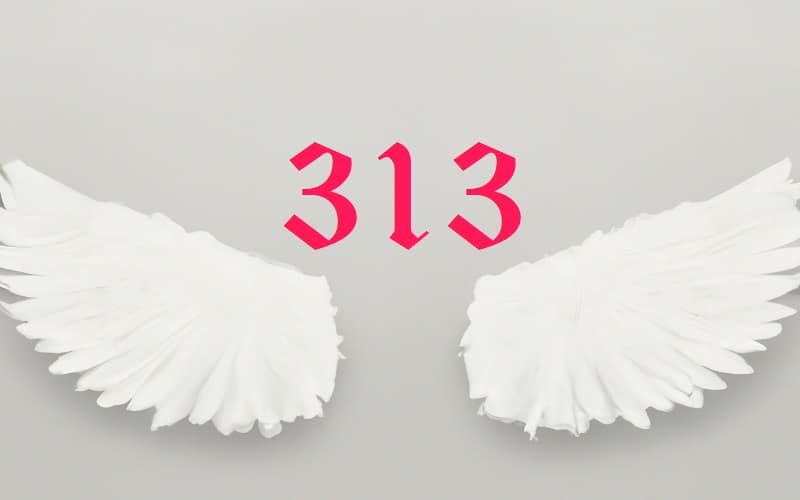 Angel number 313