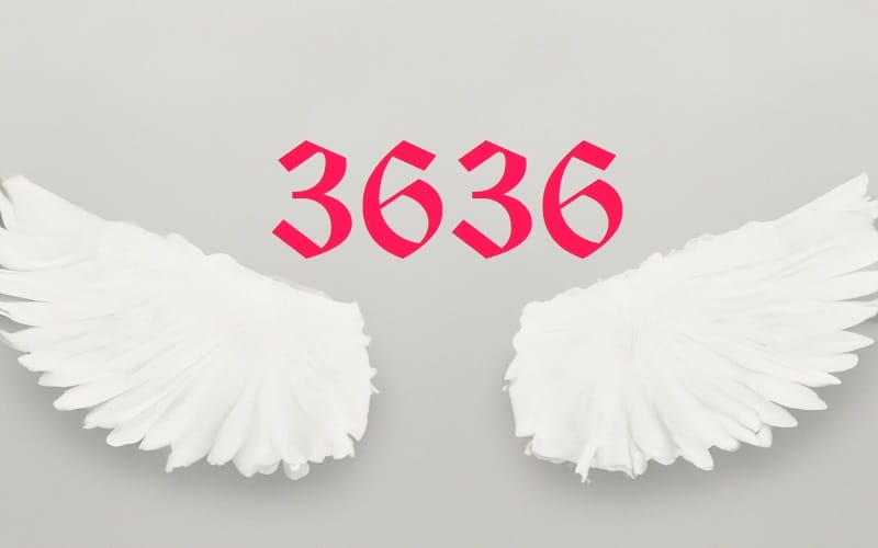 Angel Number 3636 is a beacon for personal growth. It's a divine encouragement to evolve, to expand, and to embrace the journey of becoming.