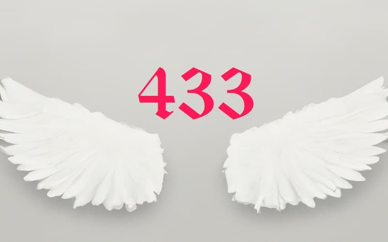 The Angel number 433 is a harmonious blend of balance and stability, inner wisdom, and manifestation and creativity. It's a call to ground ourselves.