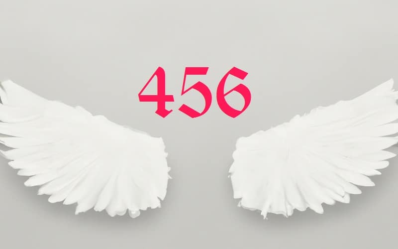 456 Angel number