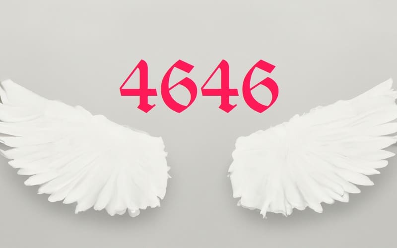Angel Number 4646 is a guiding star. You are in a good place, and it encourages us to embrace change, and learn from our experiences.