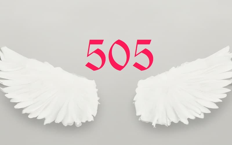 Angel Number 505 is deeply rooted in change and adaptability. It's a divine nudge to step out of your comfort zone and embrace the unknown.