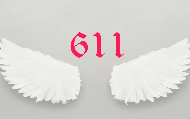 Angel Number 611 is deeply intertwined with the concepts of growth and evolution. It is a divine nudge, urging us to expand our horizons.