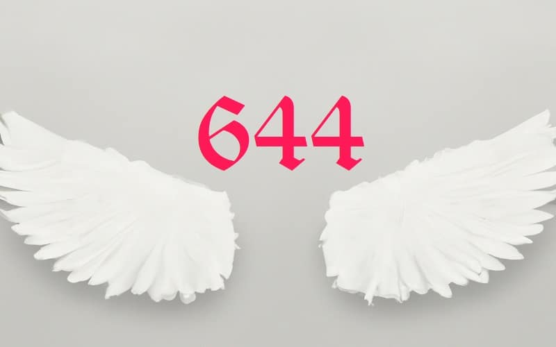 Protection is a key theme of Angel Number 644. It's a divine shield, a celestial reassurance that you are not alone in your journey.