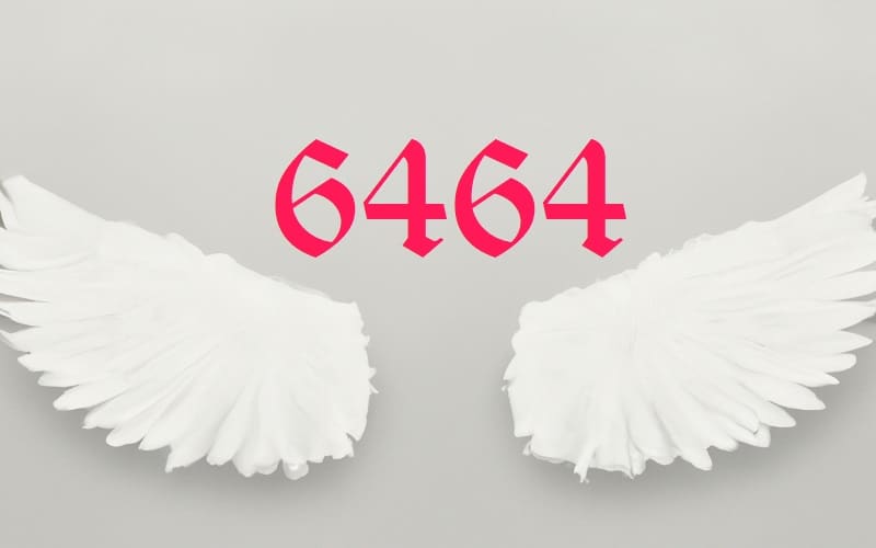 Angel Number 6464 is a symbol of life changes. It is a sign that you are in a phase of transition, moving from one stage of your life to another.