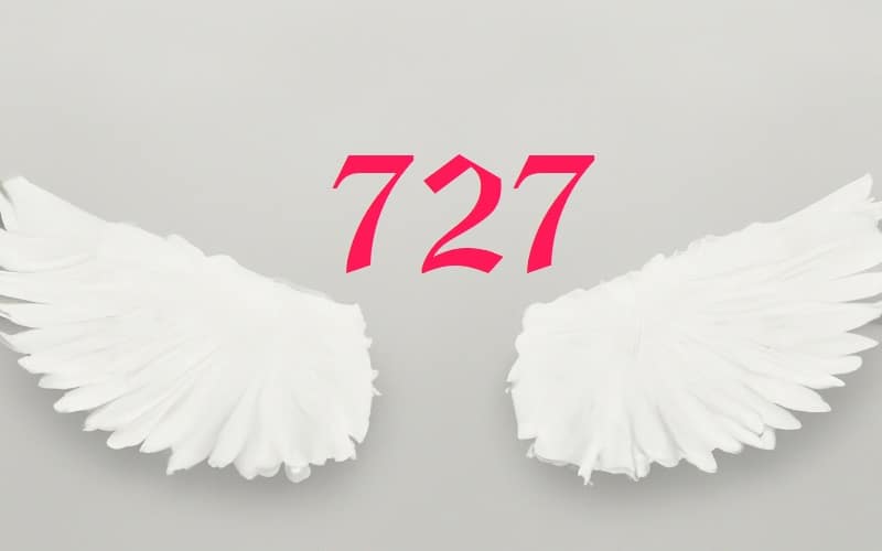Angel Number 727 is a divine call to personal development. It's a celestial whisper, urging you to embark on a journey of self-discovery.
