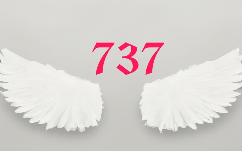 Angel Number 737 is about understanding who you are at your core, recognizing your strengths and weaknesses, and aligning yourself with your purpose