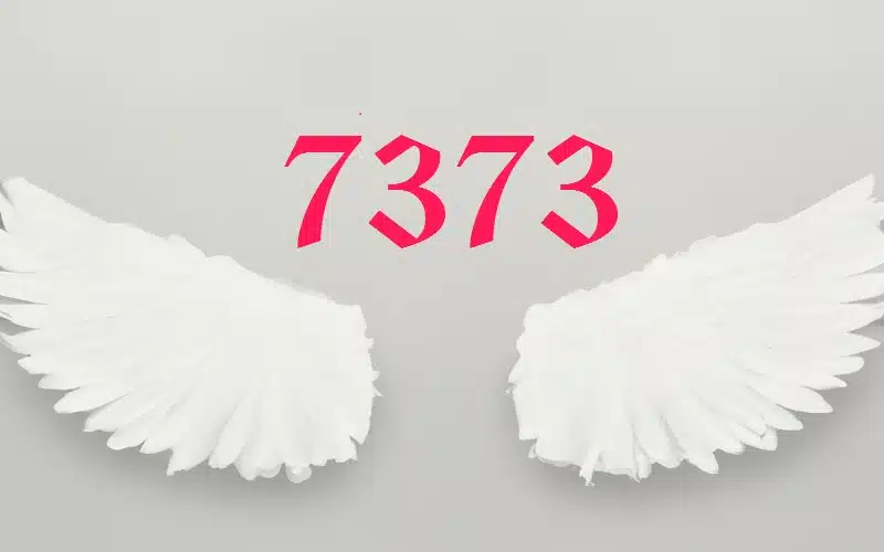 Angel number 7373