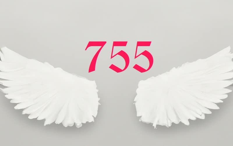 Angel Number 755 is a spiritual call to arms, urging us to embrace transformation and self-reliance. Gently pushing us towards significant life changes