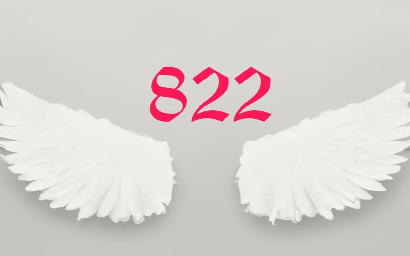 Angel Number 822 is a reminder that balance is the key to a fulfilling life, where every aspect of our existence is in harmony.