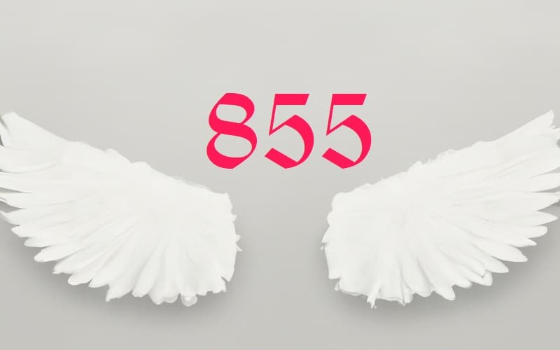 Angel Number 855 is deeply intertwined with the concepts of progressive change, and spiritual growth. It is a call to embrace the ebb and flow of life.