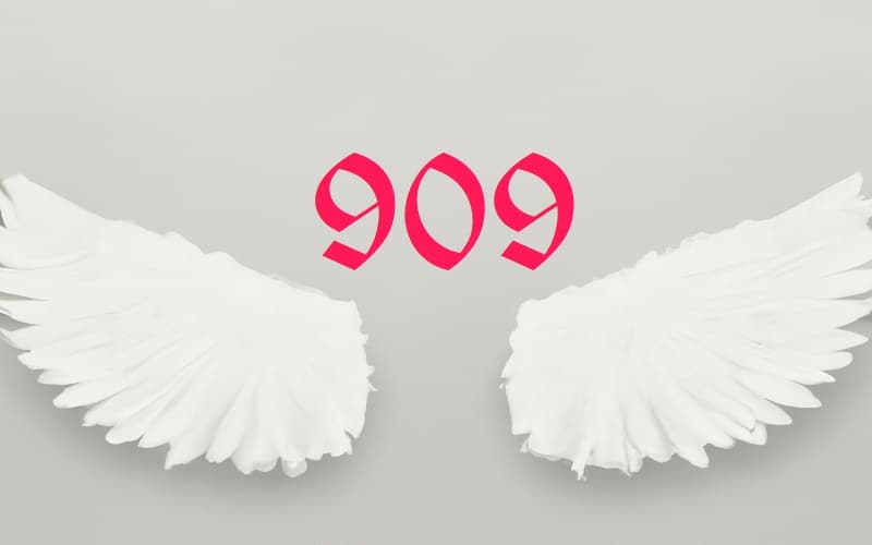 Angel Number 909 is a beacon of enlightenment, urging us to delve deeper into our spiritual selves, seeking wisdom and understanding.