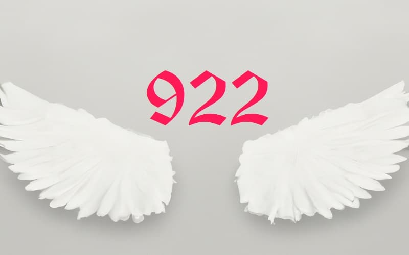 Angel Number 922 is a call to personal evolution. This number encourages us to dare to shed old patterns, to grow, and to evolve.