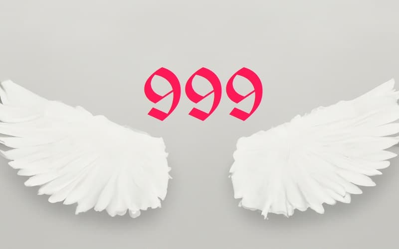 Angel Number 999 signifies transition. It is a signal that you are moving from one phase of your life to another. Seek understanding on your journey!