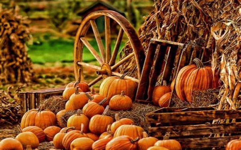 The pagan festival of Mabon is a celebration of the second harvest and marks the fall equinox around September 21st to 22nd.